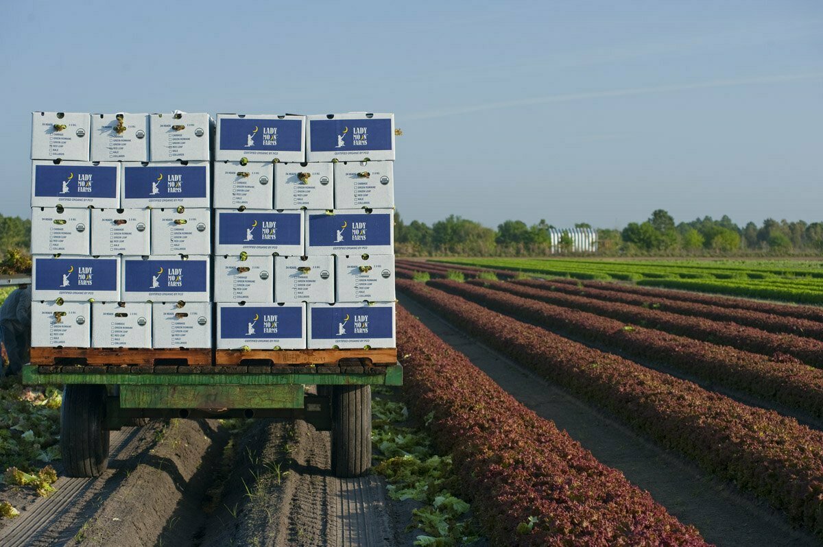 Lady Moon Farms