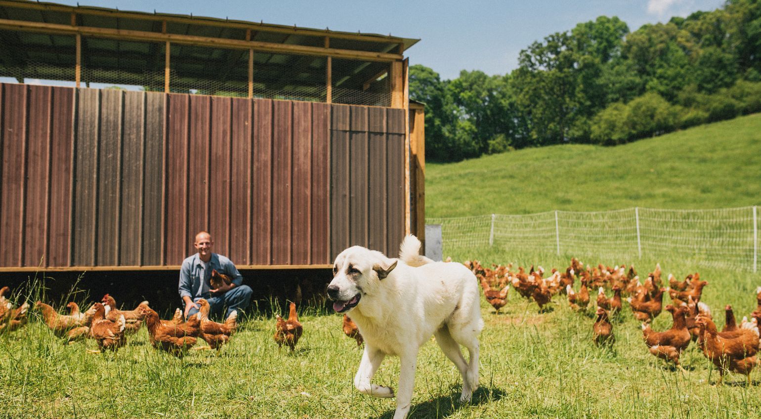 Wauka Meadows Farm